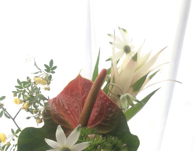 新月と満月にお花をお届けするツキノハナ